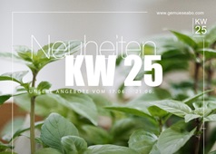 Unser Newsletter KW 25 - Logo