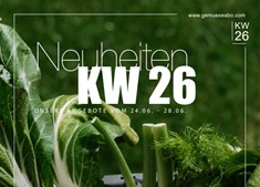 Unser Newsletter KW 26 - Logo