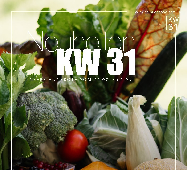 Unser Newsletter KW 31 - Logo